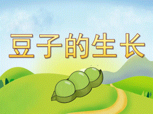 中班科学《豆子的生长》PPT课件教案PPT课件.ppt