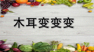 小班科学《木耳变变变》PPT课件教案微课件---木耳介绍.pptx