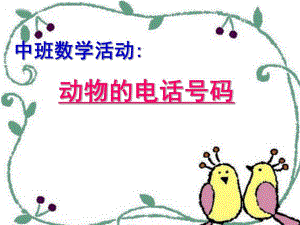 中班数学活动《动物的电话号码》PPT课件教案.ppt