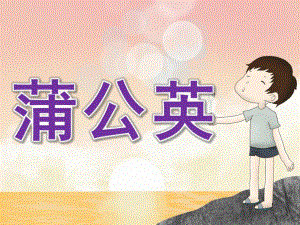 小班美术《蒲公英》PPT课件教案PPT课件.pptx