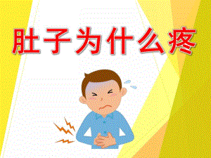 肚子为什么会疼PPT课件教案图片PPT课件.pptx