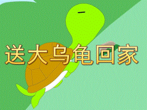 幼儿园《送大乌龟回家》PPT课件教案PPT课件.pptx