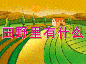 中班社会《田野里有什么》PPT课件教案PPT课件.ppt