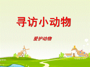 幼儿园《寻访小动物爱护动物》PPT课件.pptx