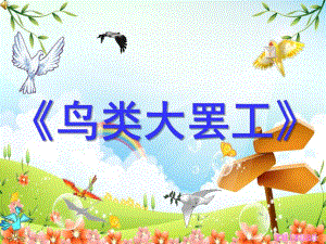 中班社会优质课《鸟类大罢工》PPT课件教案鸟类大罢工.ppt