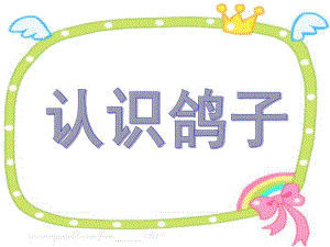 中班科学《鸽子》PPT课件教案中班科学鸽子.ppt