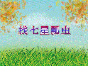 中班数学《找七星瓢虫》PPT课件教案七星瓢虫.ppt