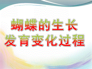 幼儿园《蝴蝶的生长发育变化过程》PPT课件蝴蝶的生长发育变化过程.pptx