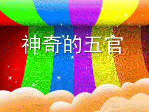 中班社会健康《神奇的五官》PPT课件教案中班--神奇的五官.ppt