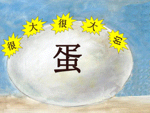 中班综合《很大很大的蛋》PPT课件教案中班综合《很大很大的蛋》微课件.ppt