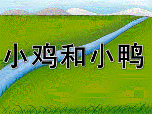 幼儿园《小鸡和小鸭》PPT课件教案PPT课件.pptx