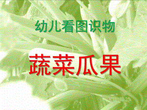 幼儿看图识物蔬菜瓜果PPT课件幼儿看图识物.pptx