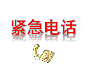 中班社会《紧急电话》PPT课件教案中班社会紧急电话.ppt