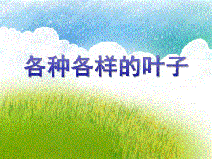 中班科学活动《各种各样的叶子》PPT课件中班科学活动《各种各样的叶子》PPT课件.ppt