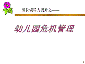 园长领导力危机管理PPT课件园长领导力危机管理PPT课件.ppt