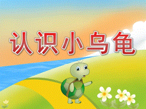 小班科学《认识小乌龟》PPT课件教案歌曲PPT课件.pptx