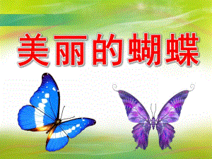 美丽的蝴蝶PPT课件教案图片PPT课件.pptx