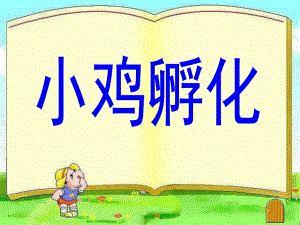 中班科学《小鸡孵化》PPT课件教案小鸡孵化演示文稿.ppt