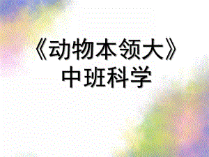 中班科学《动物本领大》PPT课件教案《动物本领大》.ppt