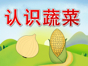 幼儿园认识蔬菜PPT课件教案PPT课件.pptx