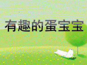 幼儿园科学活动《有趣的蛋宝宝》PPT课件教案有趣的蛋宝宝.pptx
