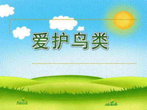 中班社会《爱护鸟类》PPT课件教案中班社会：爱护鸟.ppt
