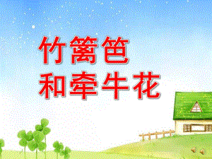 中班故事《竹篱笆和牵牛花》PPT课件教案配音音乐ppt课件.ppt