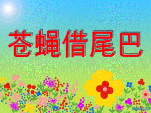 幼儿园《小苍蝇借尾巴》PPT课件苍蝇借尾巴.pptx