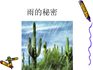 中班《雨的秘密》PPT课件教案雨的秘密.ppt