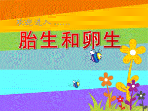 大班科学《胎生和卵生》PPT课件教案大班科学《胎生和卵生》.ppt