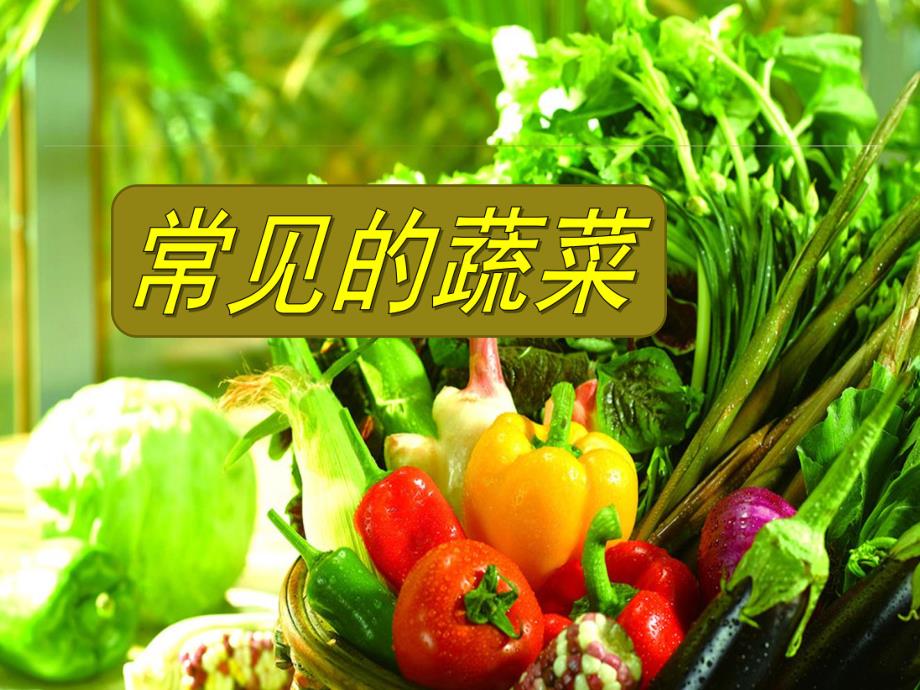 幼儿园健康教育《常见的蔬菜》PPT课件教案常见的蔬菜.ppt_第1页