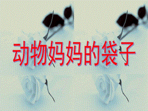 小班科学《动物妈妈的袋子》PPT课件动物妈妈的袋子.ppt