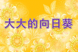 幼儿园《大大的向日葵》PPT课件教案ppt课件.ppt