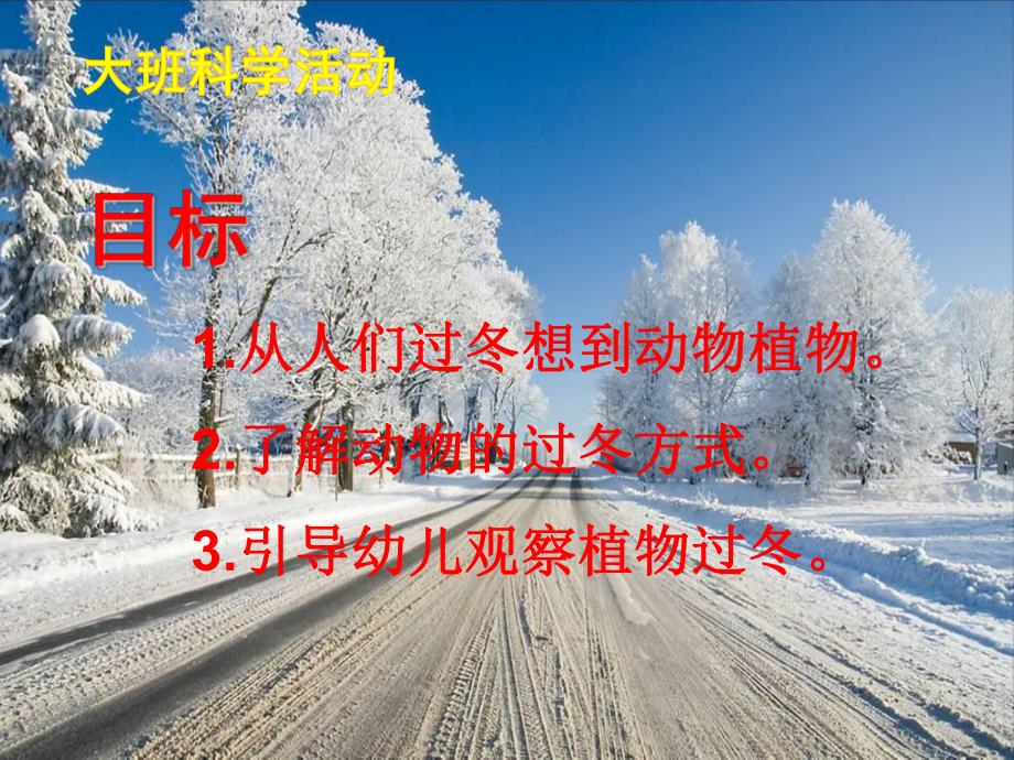 大班科学活动《过冬》PPT课件大班科学活动《过冬》PPT课件.ppt_第2页