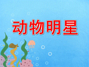 大班社会《动物明星》PPT课件教案大一班-动物明星.ppt
