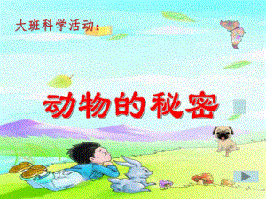 大班科学优质课《动物的秘密》PPT课件大班-动物的秘密.ppt