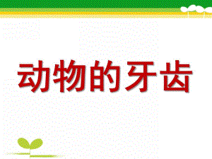 大班科学《动物的牙齿》PPT课件教案科学大班上第十六周+《动物的牙齿》.ppt