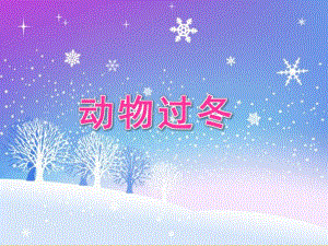 大班科学活动《动物过冬》PPT课件教案PPT课件.ppt