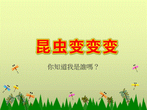 幼儿园昆虫变变变PPT课件教案昆虫变变变.ppt