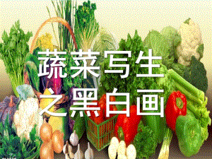 大班美术《蔬菜写生之黑白画》PPT课件蔬菜写生.ppt