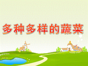 大班健康《多种多样的蔬菜》PPT课件常识课件PPT：多种多样的蔬菜..ppt