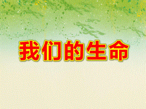 大班健康《我们的生命》PPT课件教案《我们的生命》PPT课件.ppt