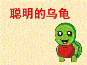 幼儿园聪明的乌龟故事图片PPT课件教案ppt课件.ppt