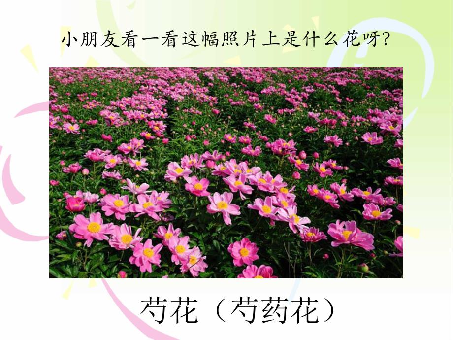 大班数学《挂彩灯(6的分合)》PPT课件大班数学《挂彩灯(6的分合)》PPT课件.ppt_第3页