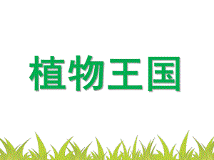 幼儿园植物PPT课件幼儿园植物.ppt