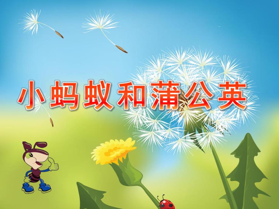 幼儿园看图讲述《小蚂蚁和蒲公英》PPT课件教案看图讲述:小蚂蚁和蒲公英.ppt_第1页