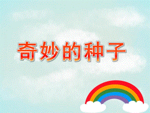 大班科学活动《奇妙的种子》PPT课件教案ppt课件.ppt