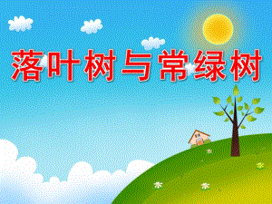 大班科学《落叶树与常绿树》PPT课件教案配音PPT课件.ppt