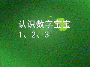幼儿园认识《数字宝宝123》PPT课件认识数字宝宝.ppt
