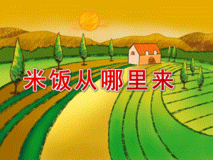 中班科学《米饭从哪里来》PPT课件教案中班科学米饭从哪里来.ppt